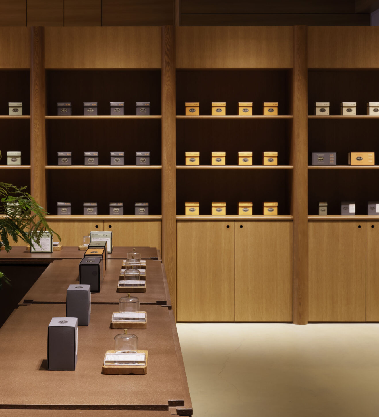 img_Steven Smith Teamaker